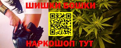 стаф Новозыбков