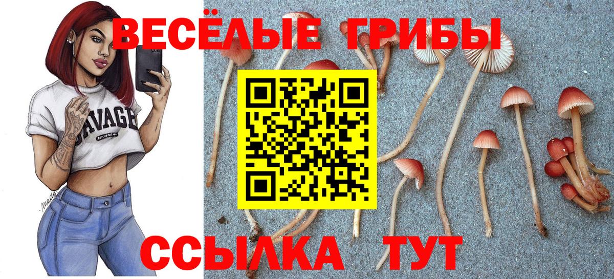 Семёнов  закладки  Вход с VPN  Галлюциногенные грибы ЛСД 